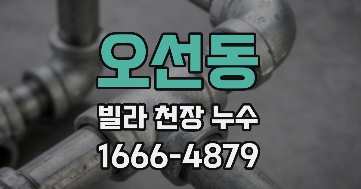 오선동 빌라 천장 누수