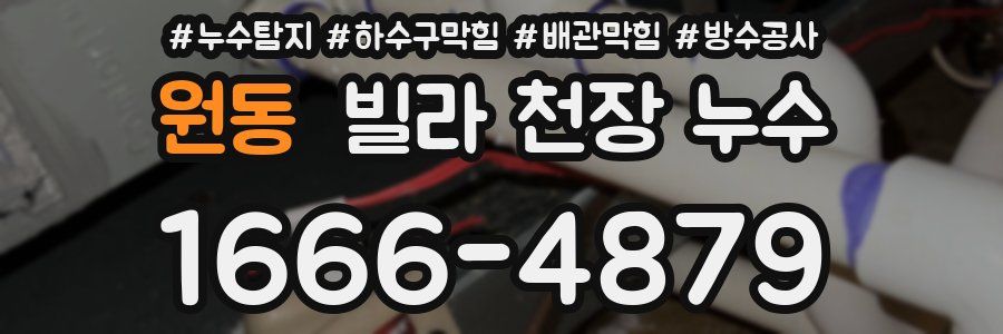 원동 빌라 천장 누수