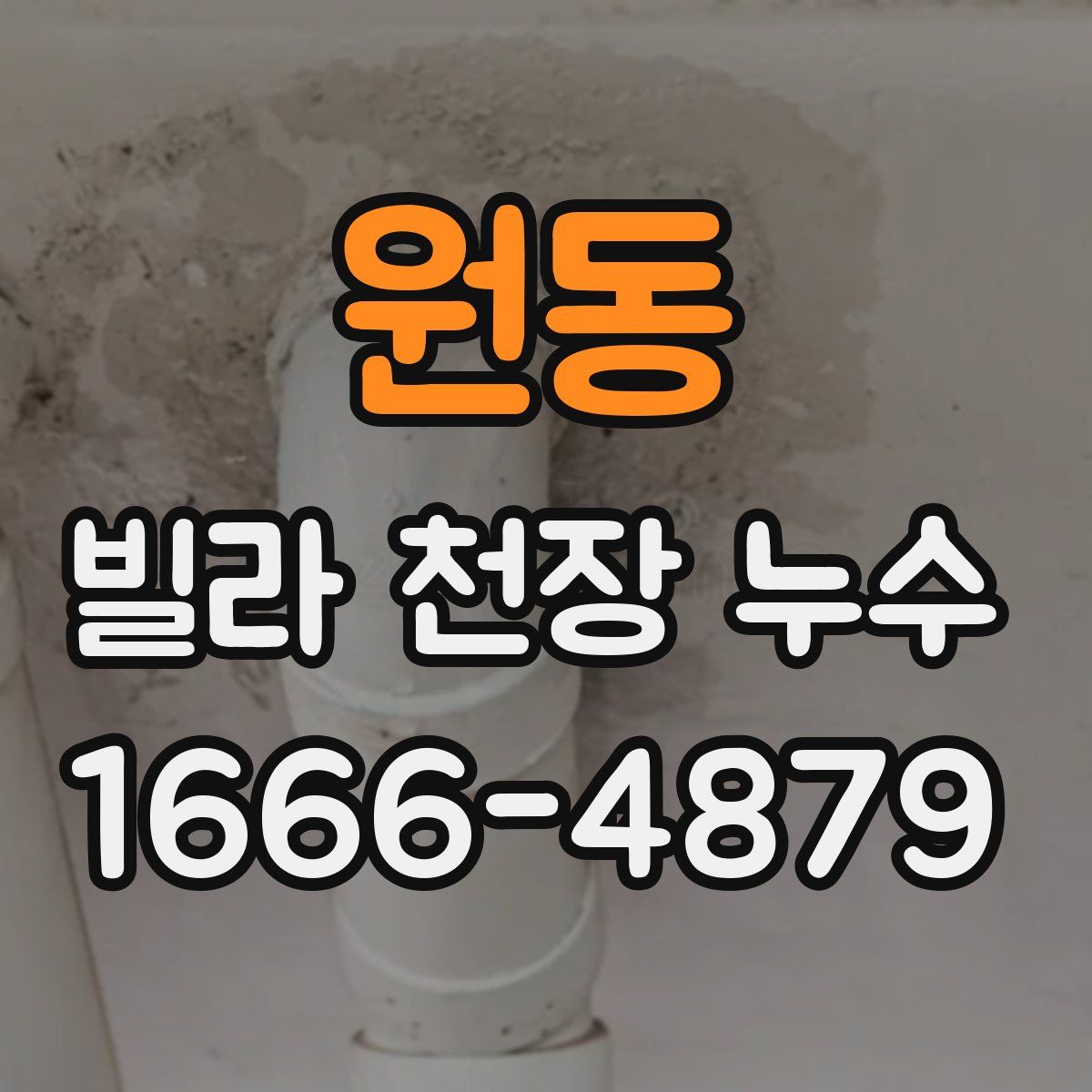 원동 빌라 천장 누수