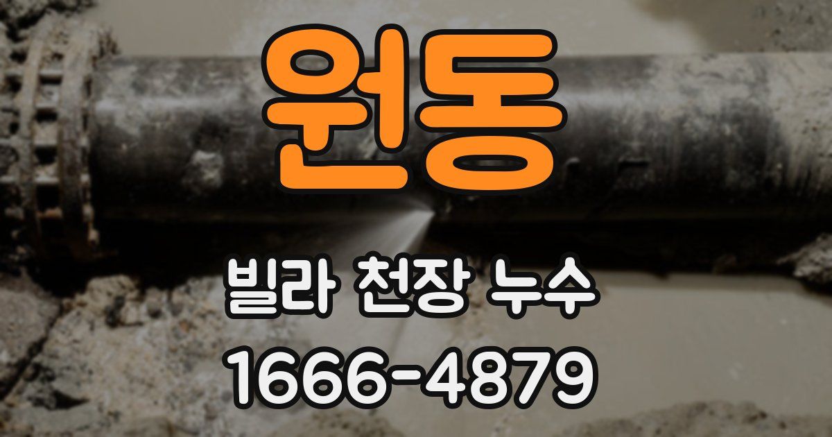 원동 빌라 천장 누수