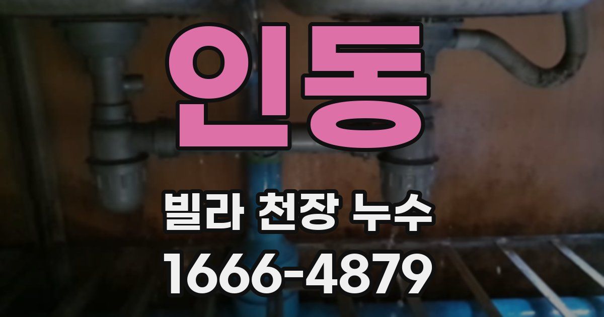 인동 빌라 천장 누수