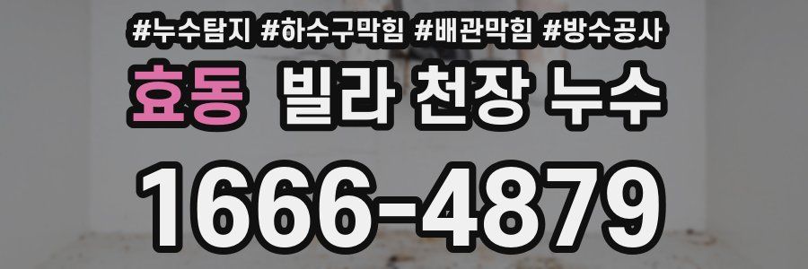 효동 빌라 천장 누수