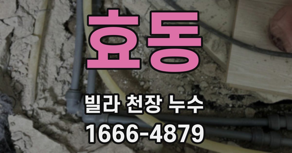 효동 빌라 천장 누수