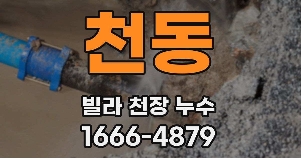 천동 빌라 천장 누수