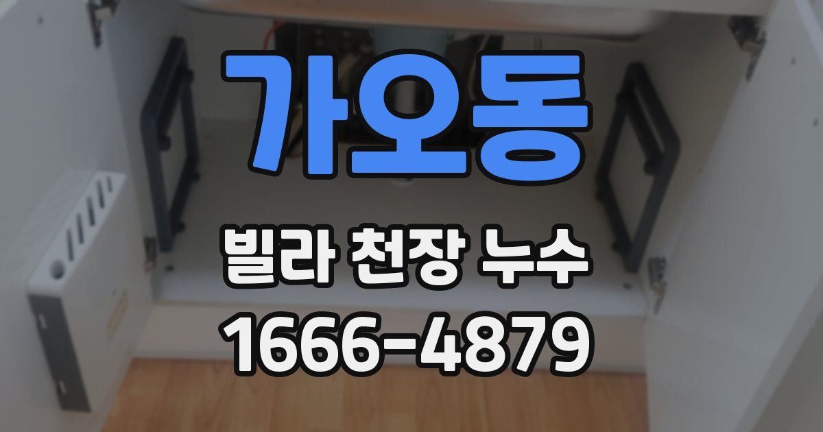 가오동 빌라 천장 누수