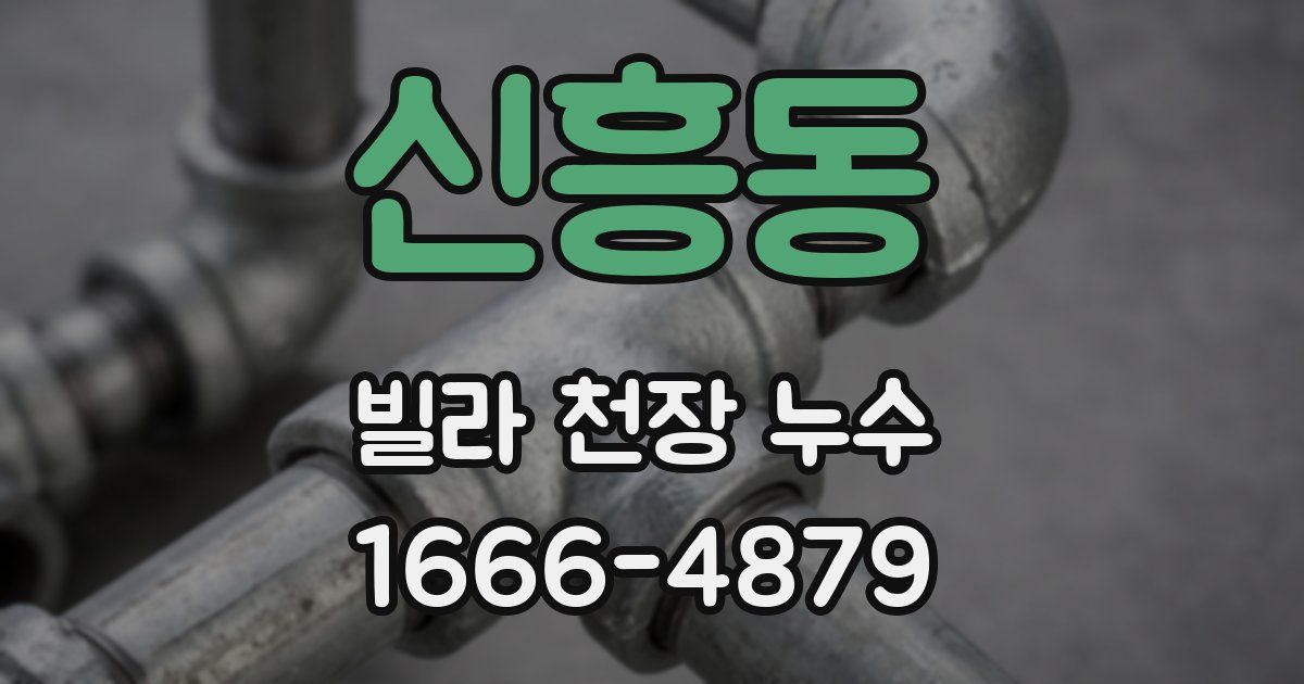 신흥동 빌라 천장 누수