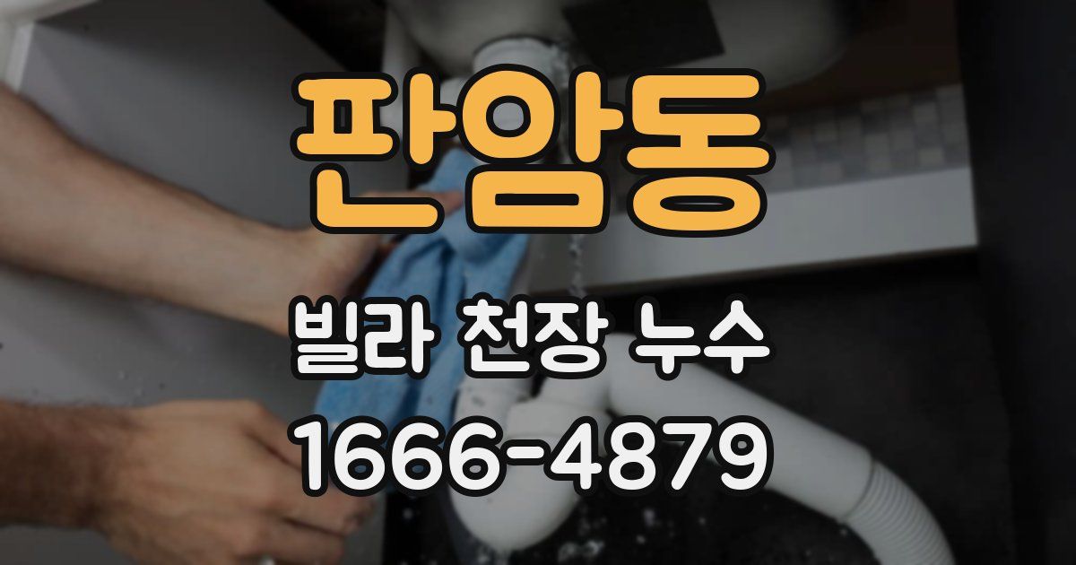 판암동 빌라 천장 누수