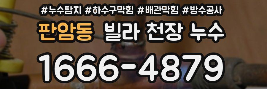 판암동 빌라 천장 누수