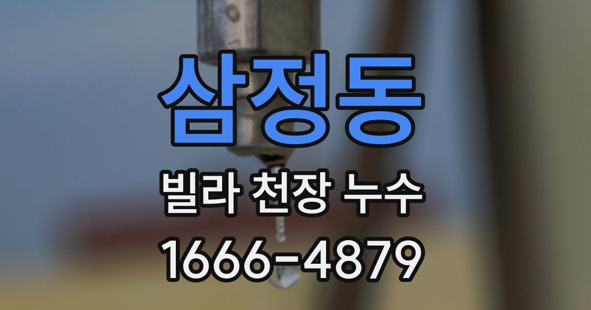 삼정동 빌라 천장 누수