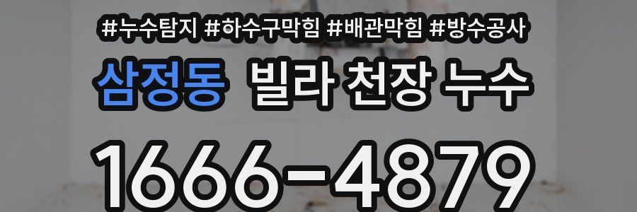 삼정동 빌라 천장 누수
