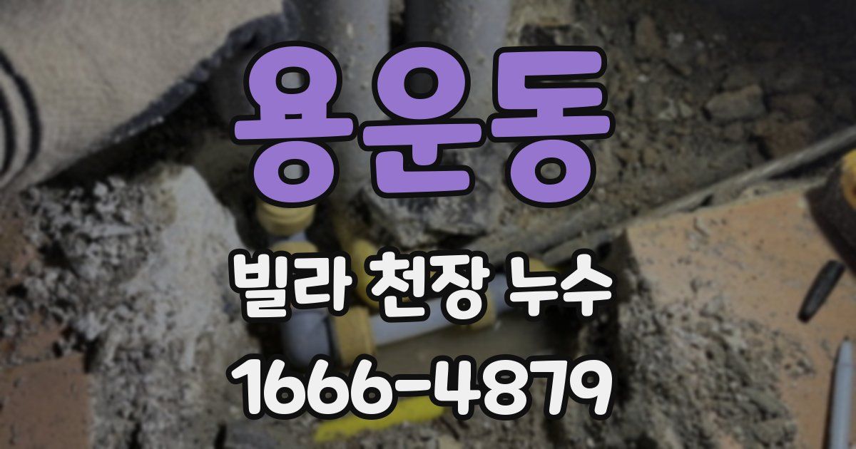 용운동 빌라 천장 누수