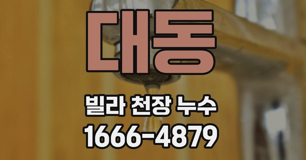 대동 빌라 천장 누수