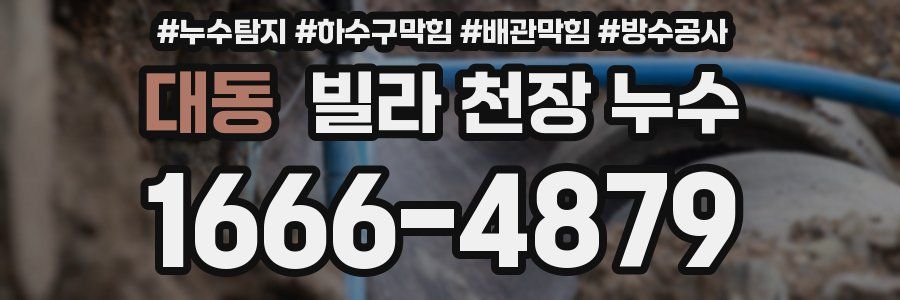 대동 빌라 천장 누수