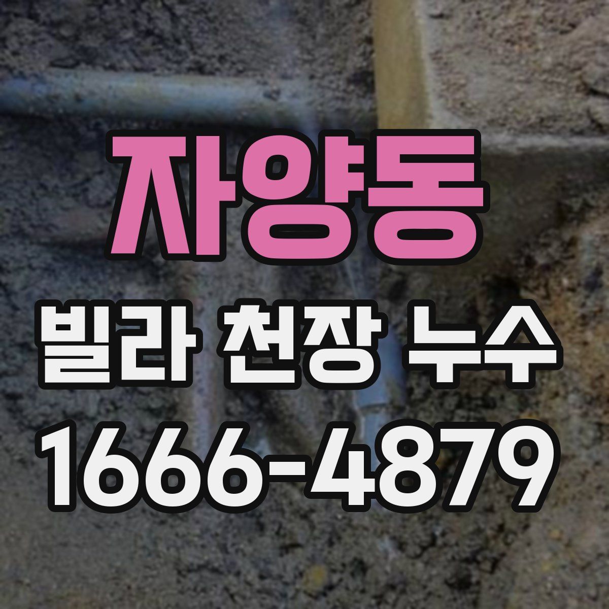 자양동 빌라 천장 누수