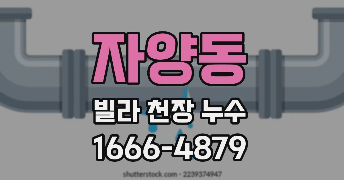 자양동 빌라 천장 누수