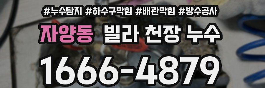 자양동 빌라 천장 누수