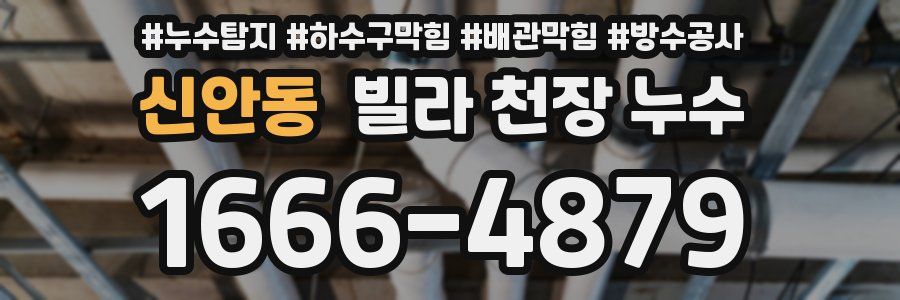 신안동 빌라 천장 누수
