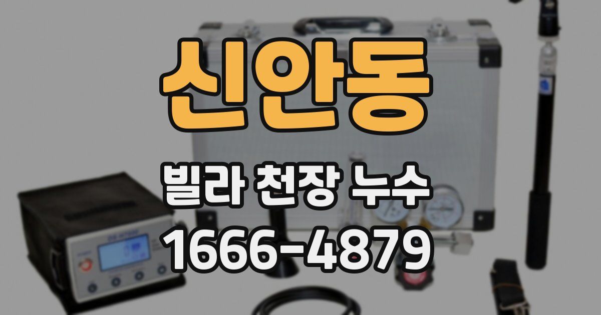 신안동 빌라 천장 누수