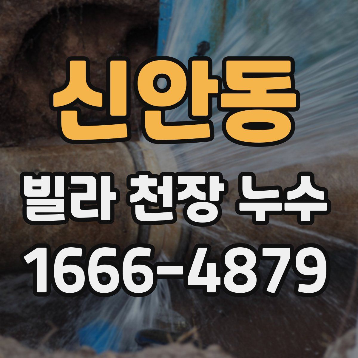 신안동 빌라 천장 누수