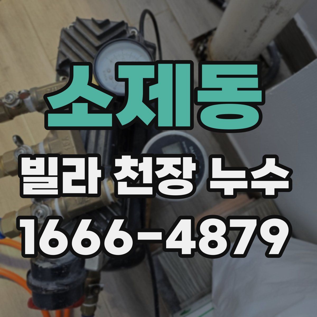 소제동 빌라 천장 누수