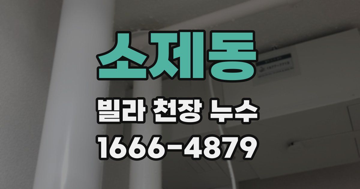 소제동 빌라 천장 누수