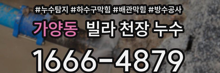 가양동 빌라 천장 누수