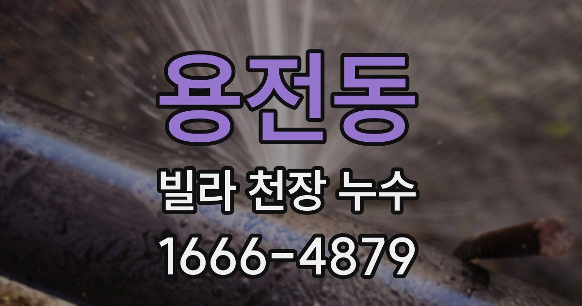 용전동 빌라 천장 누수