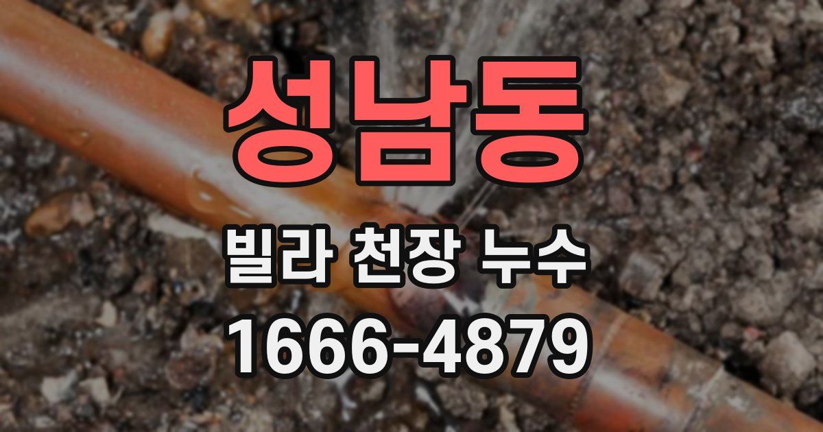 성남동 빌라 천장 누수