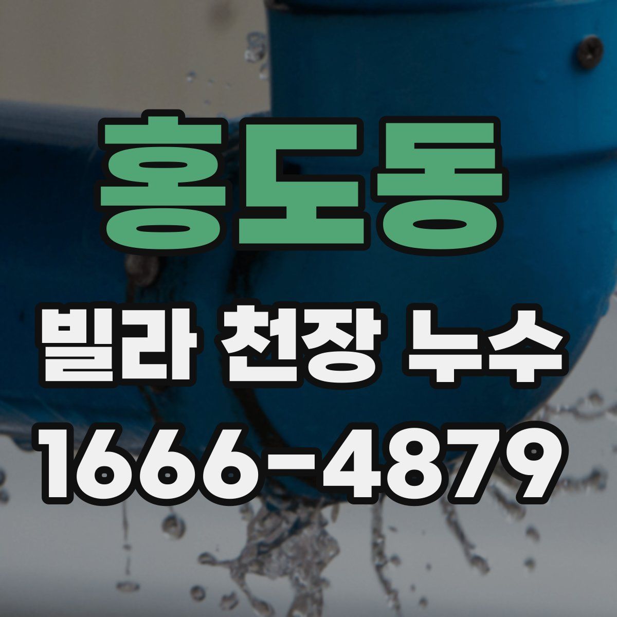홍도동 빌라 천장 누수