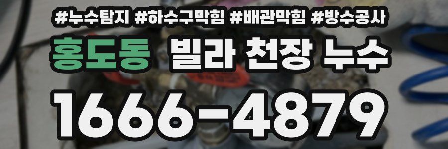 홍도동 빌라 천장 누수
