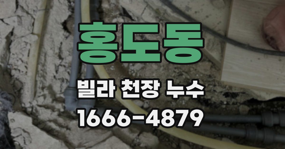 홍도동 빌라 천장 누수