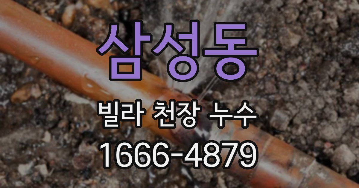 삼성동 빌라 천장 누수