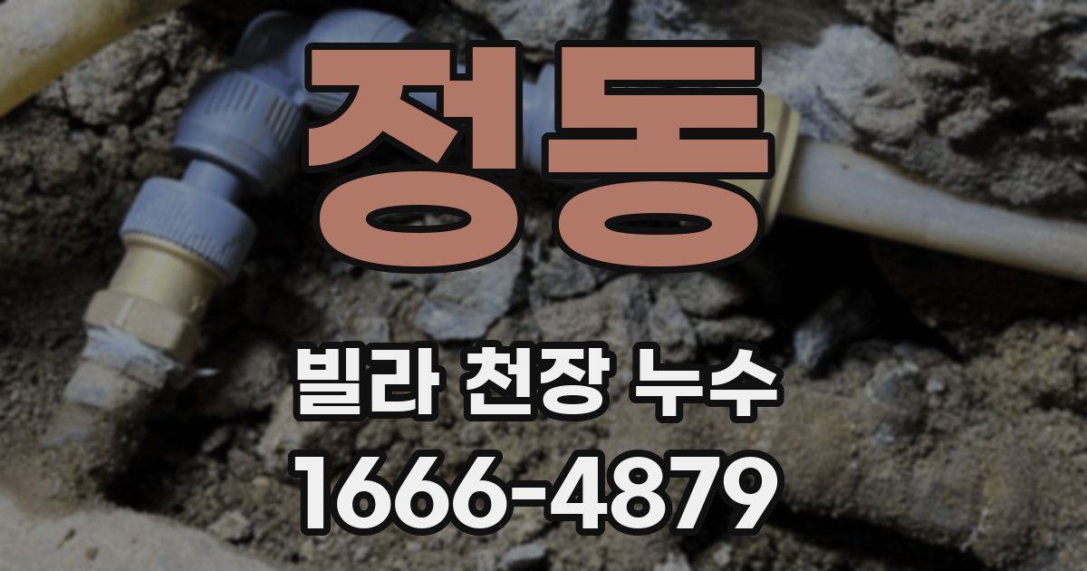 정동 빌라 천장 누수
