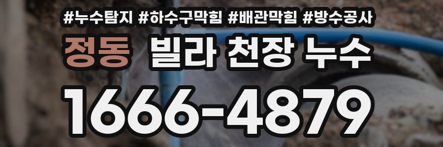 정동 빌라 천장 누수