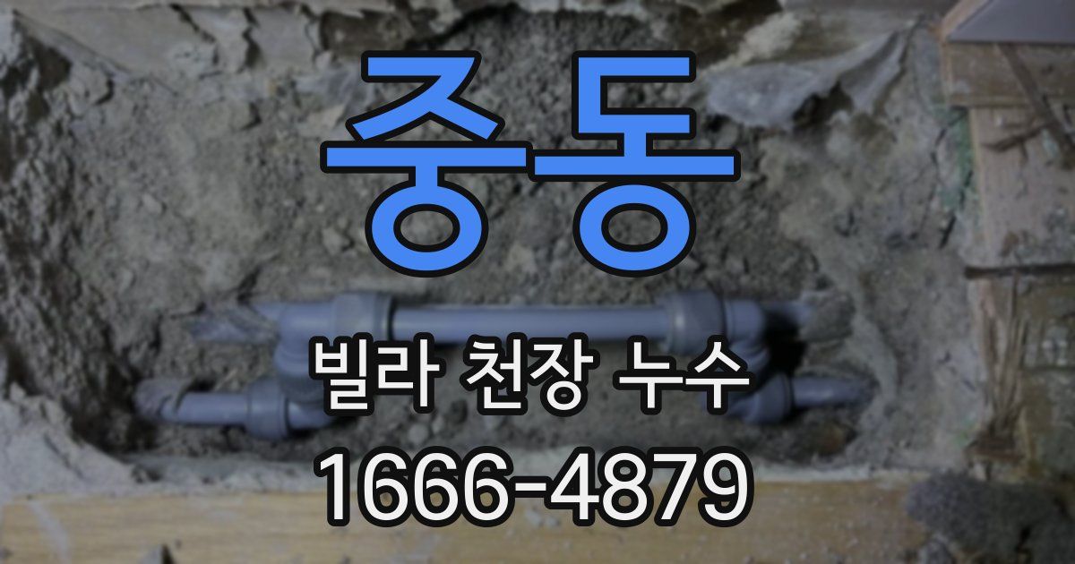 중동 빌라 천장 누수