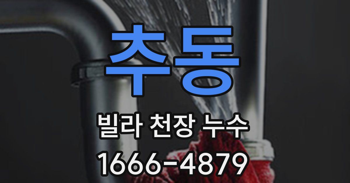 추동 빌라 천장 누수