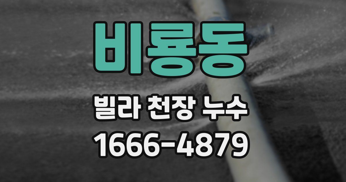 비룡동 빌라 천장 누수