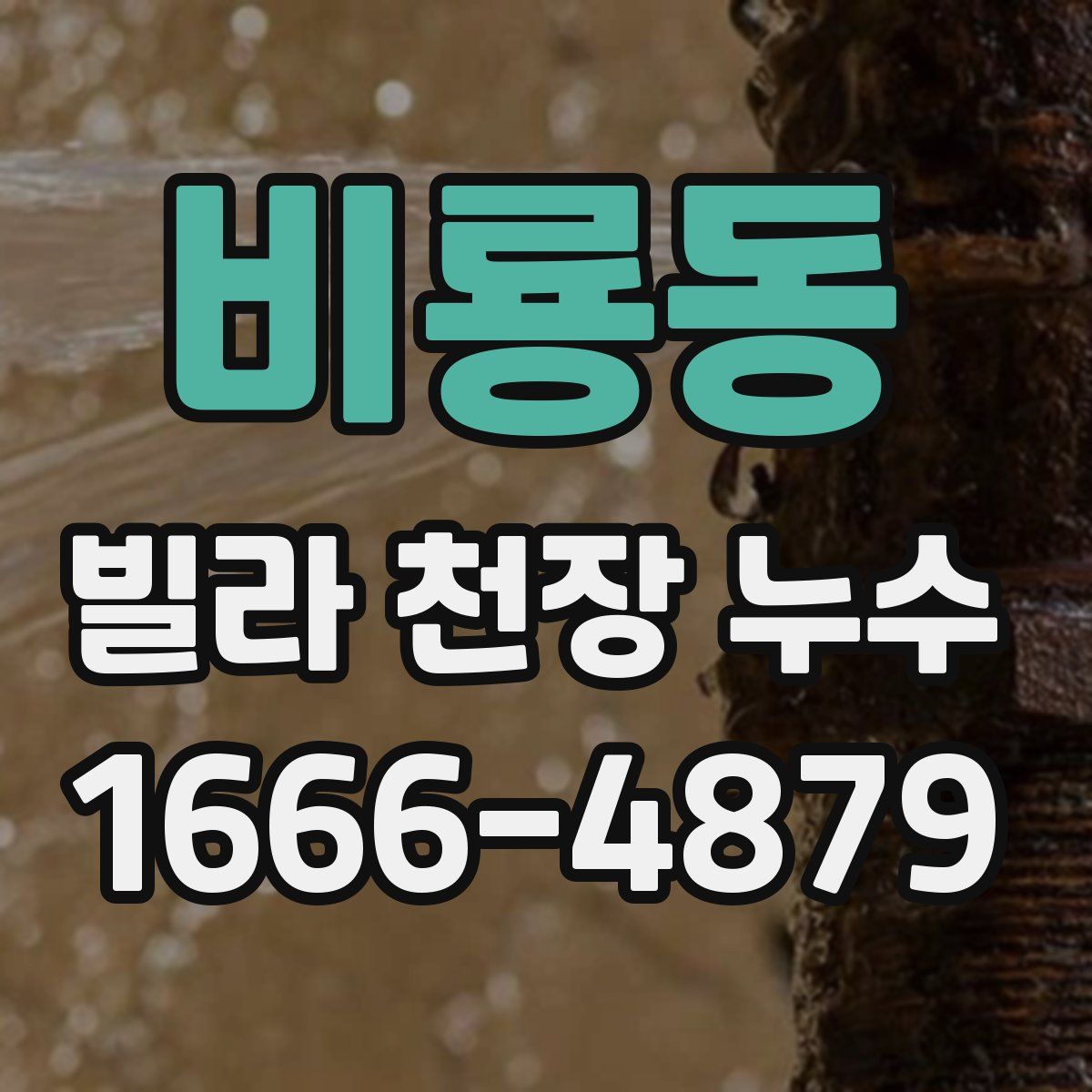 비룡동 빌라 천장 누수