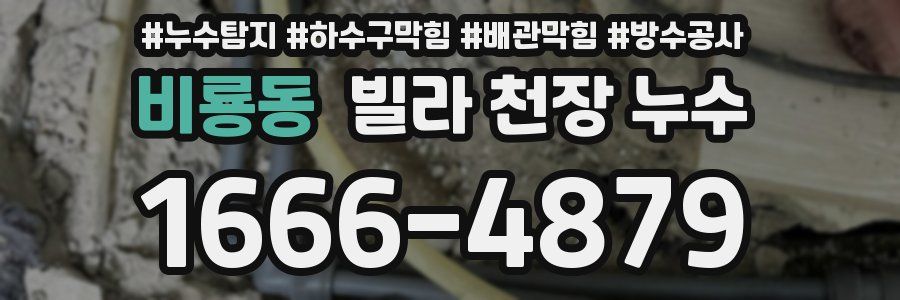 비룡동 빌라 천장 누수