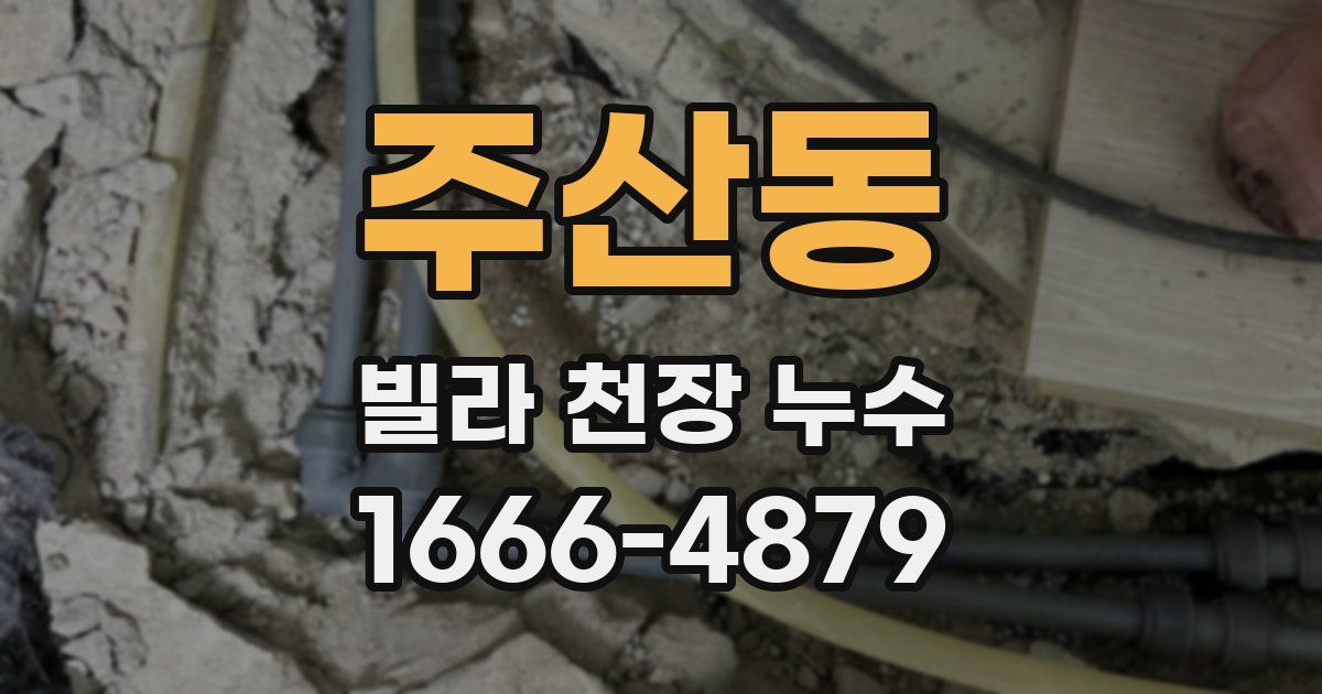 주산동 빌라 천장 누수