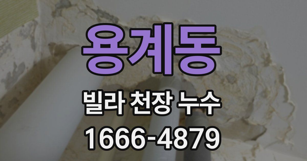 용계동 빌라 천장 누수