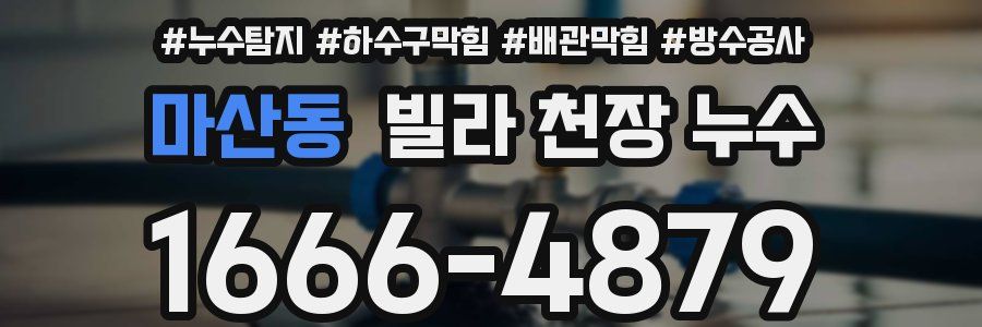 마산동 빌라 천장 누수