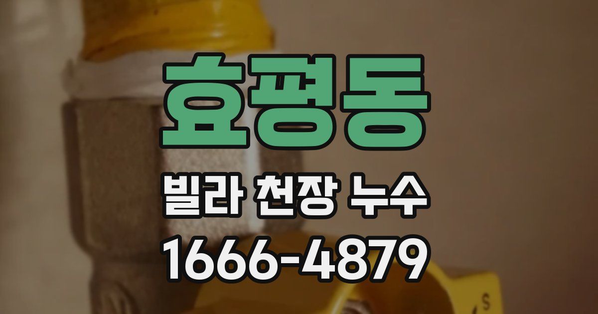 효평동 빌라 천장 누수