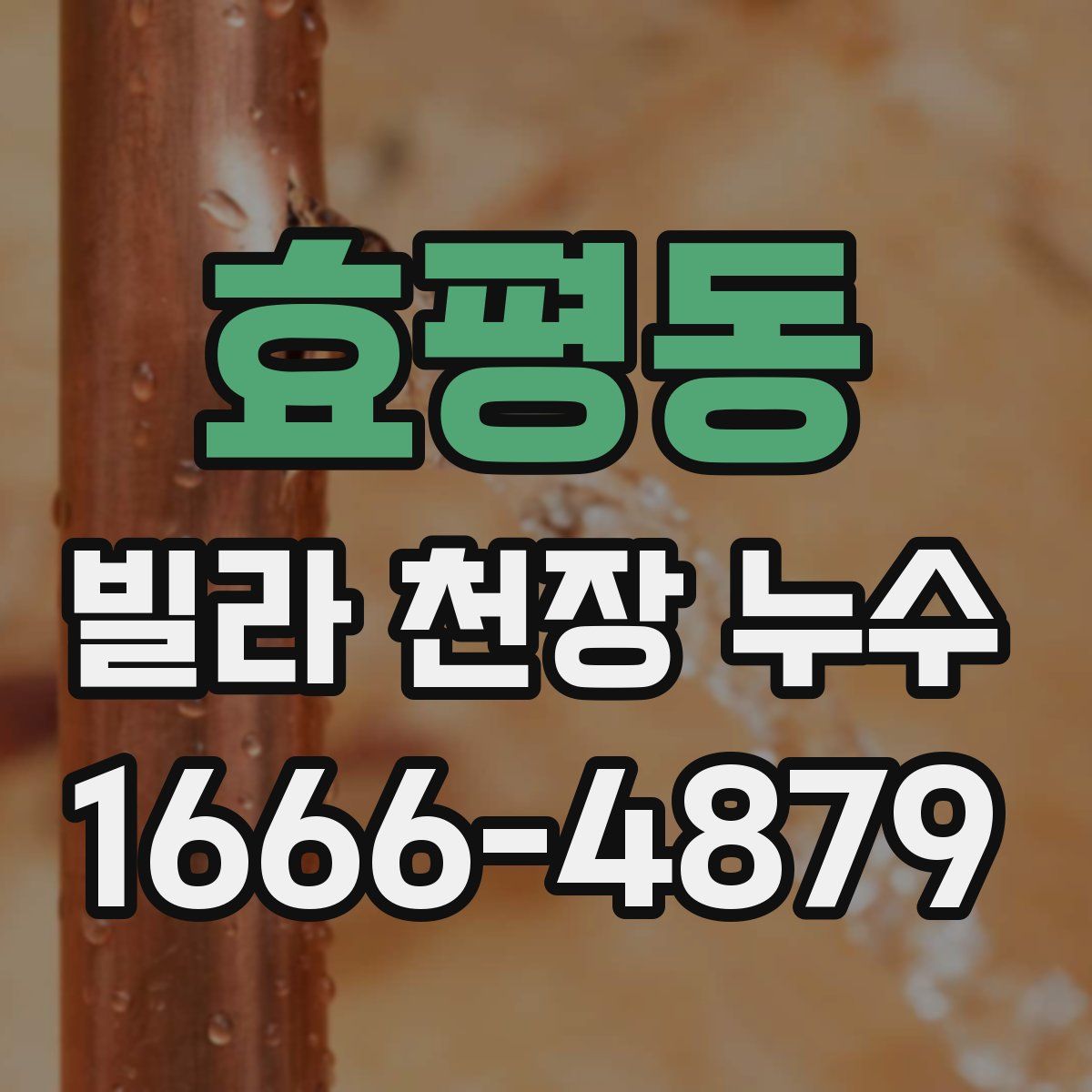 효평동 빌라 천장 누수