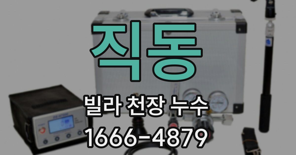 직동 빌라 천장 누수