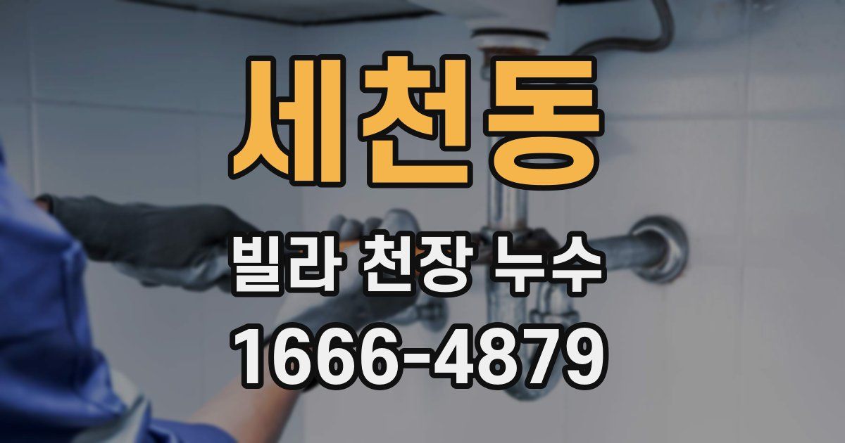세천동 빌라 천장 누수