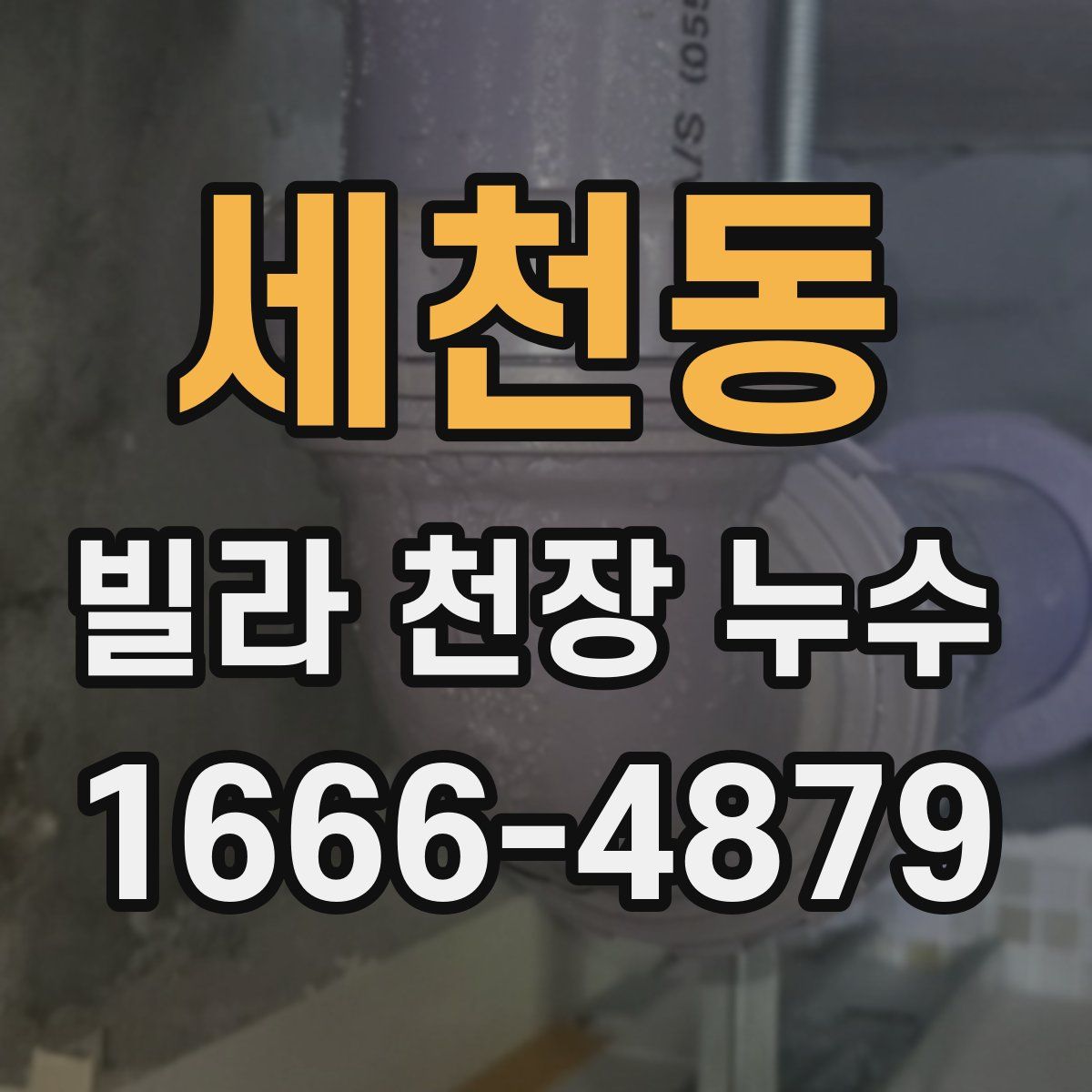 세천동 빌라 천장 누수