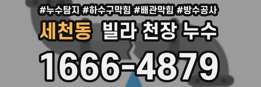 세천동 빌라 천장 누수