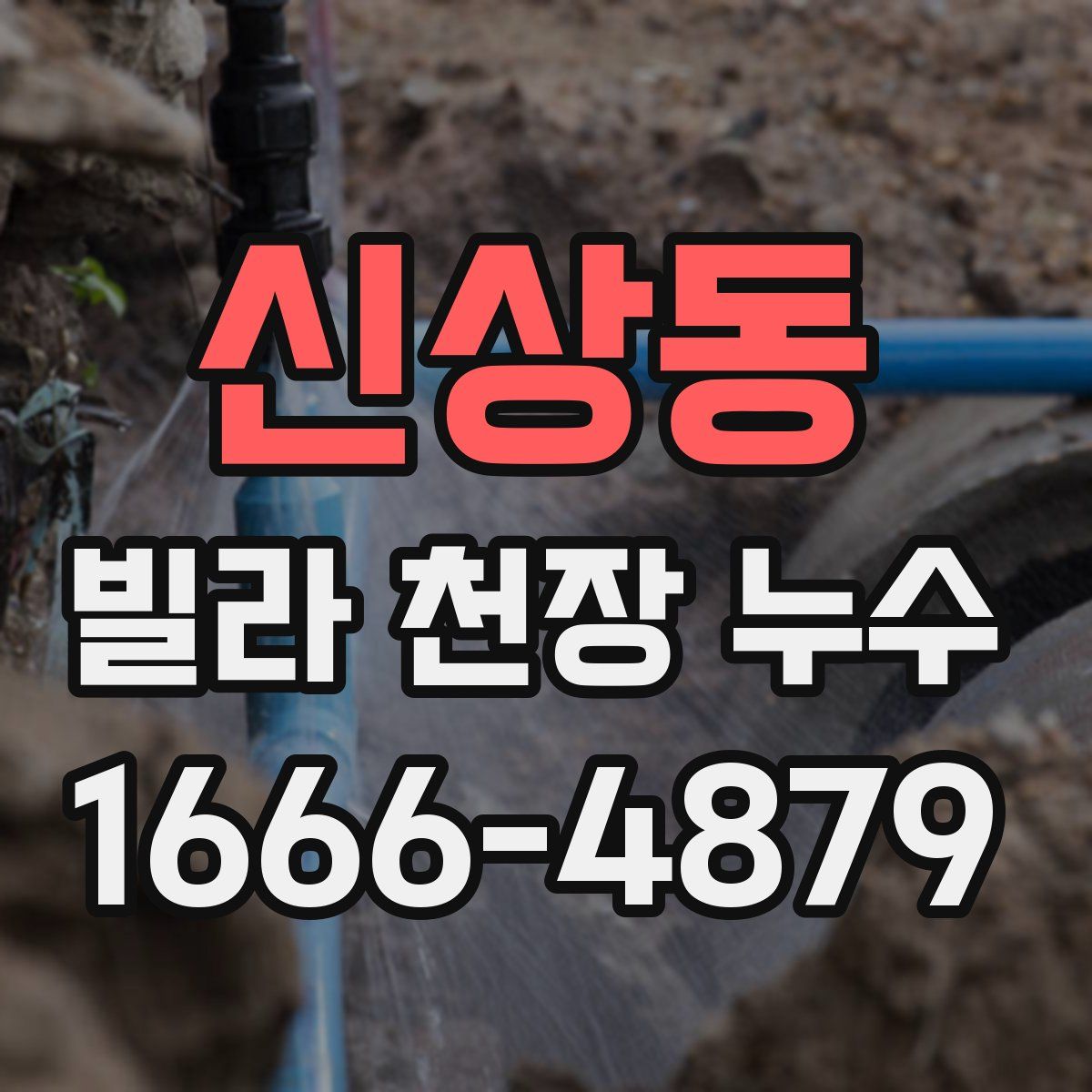 신상동 빌라 천장 누수