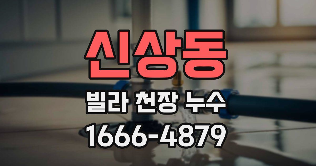신상동 빌라 천장 누수